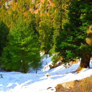 Nathia Gali Budget Tour