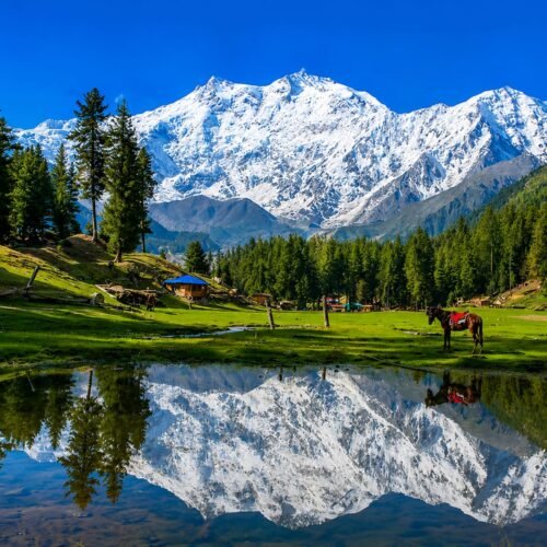 Naran 3 Days Trip